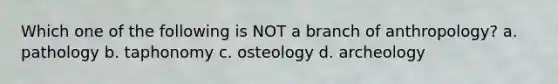 Which one of the following is NOT a branch of anthropology? a. pathology b. taphonomy c. osteology d. archeology