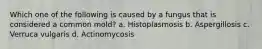 Which one of the following is caused by a fungus that is considered a common mold? a. Histoplasmosis b. Aspergillosis c. Verruca vulgaris d. Actinomycosis