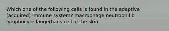 Which one of the following cells is found in the adaptive (acquired) immune system? macrophage neutrophil b lymphocyte langerhans cell in the skin