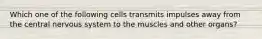 Which one of the following cells transmits impulses away from the central nervous system to the muscles and other organs?