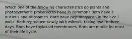 Which one of the following characteristics do plants and photosynthetic prokaryotes have in common? Both have a nucleus and ribosomes. Both have peptidoglycan in their cell walls. Both reproduce slowly with mitosis, taking two to three days. Both have thylakoid membranes. Both are motile for most of their life cycle.