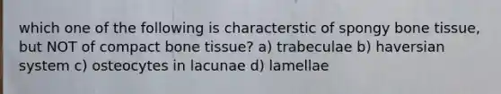 which one of the following is characterstic of spongy bone tissue, but NOT of compact bone tissue? a) trabeculae b) haversian system c) osteocytes in lacunae d) lamellae