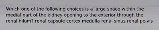 Which one of the following choices is a large space within the medial part of the kidney opening to the exterior through the renal hilum? renal capsule cortex medulla renal sinus renal pelvis