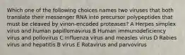 Which one of the following choices names two viruses that both translate their messenger RNA into precursor polypeptides that must be cleaved by virion-encoded proteases? A Herpes simplex virus and human papillomavirus B Human immunodeficiency virus and poliovirus C Influenza virus and measles virus D Rabies virus and hepatitis B virus E Rotavirus and parvovirus