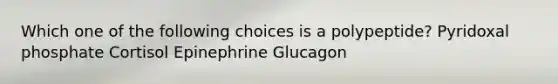 Which one of the following choices is a polypeptide? Pyridoxal phosphate Cortisol Epinephrine Glucagon