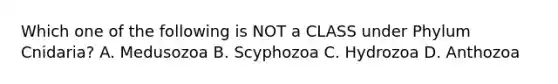 Which one of the following is NOT a CLASS under Phylum Cnidaria? A. Medusozoa B. Scyphozoa C. Hydrozoa D. Anthozoa