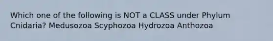 Which one of the following is NOT a CLASS under Phylum Cnidaria? Medusozoa Scyphozoa Hydrozoa Anthozoa