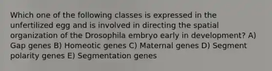 Which one of the following classes is expressed in the unfertilized egg and is involved in directing the spatial organization of the Drosophila embryo early in development? A) Gap genes B) Homeotic genes C) Maternal genes D) Segment polarity genes E) Segmentation genes