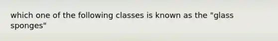 which one of the following classes is known as the "glass sponges"