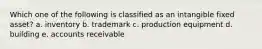 Which one of the following is classified as an intangible fixed asset? a. inventory b. trademark c. production equipment d. building e. accounts receivable