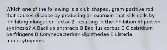 Which one of the following is a club-shaped, gram-positive rod that causes disease by producing an exotoxin that kills cells by inhibiting elongation factor-2, resulting in the inhibition of <a href='https://www.questionai.com/knowledge/kVyphSdCnD-protein-synthesis' class='anchor-knowledge'>protein synthesis</a>? A Bacillus anthracis B Bacillus cereus C Clostridium perfringens D Corynebacterium diphtheriae E Listeria monocytogenes