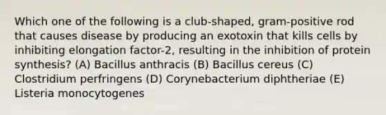 Which one of the following is a club-shaped, gram-positive rod that causes disease by producing an exotoxin that kills cells by inhibiting elongation factor-2, resulting in the inhibition of protein synthesis? (A) Bacillus anthracis (B) Bacillus cereus (C) Clostridium perfringens (D) Corynebacterium diphtheriae (E) Listeria monocytogenes