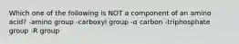 Which one of the following is NOT a component of an amino acid? -amino group -carboxyl group -α carbon -triphosphate group -R group