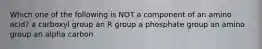 Which one of the following is NOT a component of an amino acid? a carboxyl group an R group a phosphate group an amino group an alpha carbon