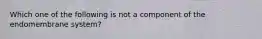 Which one of the following is not a component of the endomembrane system?