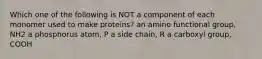 Which one of the following is NOT a component of each monomer used to make proteins? an amino functional group, NH2 a phosphorus atom, P a side chain, R a carboxyl group, COOH