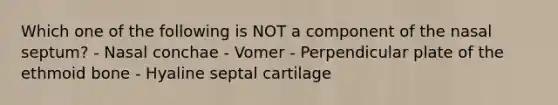 Which one of the following is NOT a component of the nasal septum? - Nasal conchae - Vomer - Perpendicular plate of the ethmoid bone - Hyaline septal cartilage