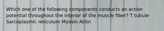 Which one of the following components conducts an action potential throughout the interior of the muscle fiber? T tubule Sarcoplasmic reticulum Myosin Actin