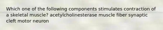 Which one of the following components stimulates contraction of a skeletal muscle? acetylcholinesterase muscle fiber synaptic cleft motor neuron