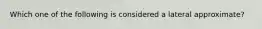 Which one of the following is considered a lateral approximate?