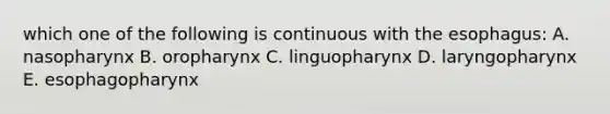 which one of the following is continuous with the esophagus: A. nasopharynx B. oropharynx C. linguopharynx D. laryngopharynx E. esophagopharynx