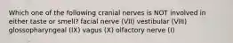 Which one of the following cranial nerves is NOT involved in either taste or smell? facial nerve (VII) vestibular (VIII) glossopharyngeal (IX) vagus (X) olfactory nerve (I)