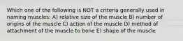 Which one of the following is NOT a criteria generally used in naming muscles: A) relative size of the muscle B) number of origins of the muscle C) action of the muscle D) method of attachment of the muscle to bone E) shape of the muscle