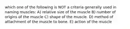 which one of the following is NOT a criteria generally used in naming muscles: A) relative size of the muscle B) number of origins of the muscle C) shape of the muscle. D) method of attachment of the muscle to bone. E) action of the muscle