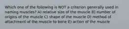 Which one of the following is NOT a criterion generally used in naming muscles? A) relative size of the muscle B) number of origins of the muscle C) shape of the muscle D) method of attachment of the muscle to bone E) action of the muscle