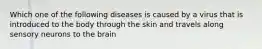 Which one of the following diseases is caused by a virus that is introduced to the body through the skin and travels along sensory neurons to the brain