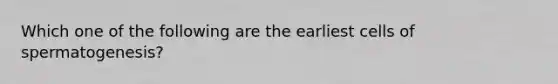 Which one of the following are the earliest cells of spermatogenesis?