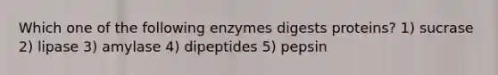 Which one of the following enzymes digests proteins? 1) sucrase 2) lipase 3) amylase 4) dipeptides 5) pepsin