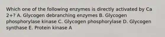 Which one of the following enzymes is directly activated by Ca 2+? A. Glycogen debranching enzymes B. Glycogen phosphorylase kinase C. Glycogen phosphorylase D. Glycogen synthase E. Protein kinase A