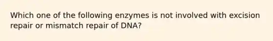 Which one of the following enzymes is not involved with excision repair or mismatch repair of DNA?