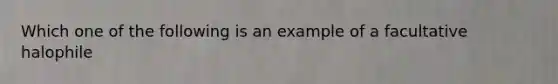 Which one of the following is an example of a facultative halophile