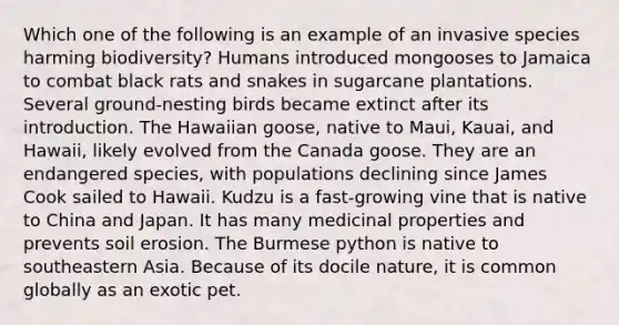 Which one of the following is an example of an invasive species harming biodiversity? Humans introduced mongooses to Jamaica to combat black rats and snakes in sugarcane plantations. Several ground-nesting birds became extinct after its introduction. The Hawaiian goose, native to Maui, Kauai, and Hawaii, likely evolved from the Canada goose. They are an endangered species, with populations declining since James Cook sailed to Hawaii. Kudzu is a fast-growing vine that is native to China and Japan. It has many medicinal properties and prevents soil erosion. The Burmese python is native to southeastern Asia. Because of its docile nature, it is common globally as an exotic pet.