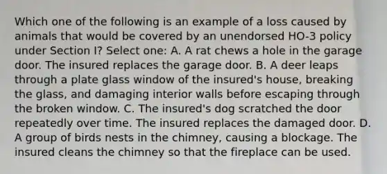 Which one of the following is an example of a loss caused by animals that would be covered by an unendorsed HO-3 policy under Section I? Select one: A. A rat chews a hole in the garage door. The insured replaces the garage door. B. A deer leaps through a plate glass window of the insured's house, breaking the glass, and damaging interior walls before escaping through the broken window. C. The insured's dog scratched the door repeatedly over time. The insured replaces the damaged door. D. A group of birds nests in the chimney, causing a blockage. The insured cleans the chimney so that the fireplace can be used.