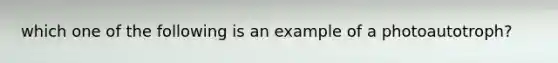 which one of the following is an example of a photoautotroph?