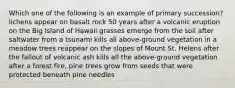 Which one of the following is an example of primary succession? lichens appear on basalt rock 50 years after a volcanic eruption on the Big Island of Hawaii grasses emerge from the soil after saltwater from a tsunami kills all above-ground vegetation in a meadow trees reappear on the slopes of Mount St. Helens after the fallout of volcanic ash kills all the above-ground vegetation after a forest fire, pine trees grow from seeds that were protected beneath pine needles