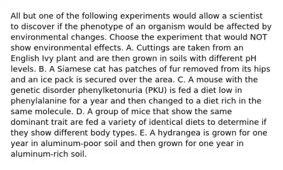 All but one of the following experiments would allow a scientist to discover if the phenotype of an organism would be affected by environmental changes. Choose the experiment that would NOT show environmental effects. A. Cuttings are taken from an English Ivy plant and are then grown in soils with different pH levels. B. A Siamese cat has patches of fur removed from its hips and an ice pack is secured over the area. C. A mouse with the genetic disorder phenylketonuria (PKU) is fed a diet low in phenylalanine for a year and then changed to a diet rich in the same molecule. D. A group of mice that show the same dominant trait are fed a variety of identical diets to determine if they show different body types. E. A hydrangea is grown for one year in aluminum-poor soil and then grown for one year in aluminum-rich soil.