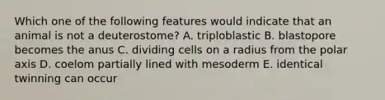 Which one of the following features would indicate that an animal is not a deuterostome? A. triploblastic B. blastopore becomes the anus C. dividing cells on a radius from the polar axis D. coelom partially lined with mesoderm E. identical twinning can occur