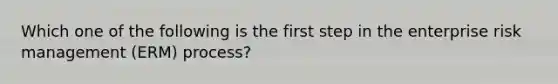 Which one of the following is the first step in the enterprise risk management (ERM) process?