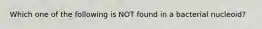 Which one of the following is NOT found in a bacterial nucleoid?