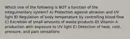 Which one of the following is NOT a function of the integumentary system? A) Protection against abrasion and UV light B) Regulation of body temperature by controlling blood flow C) Excretion of small amounts of waste products D) Vitamin A production with exposure to UV light E) Detection of heat, cold, pressure, and pain sensations