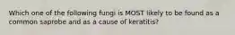 Which one of the following fungi is MOST likely to be found as a common saprobe and as a cause of keratitis?