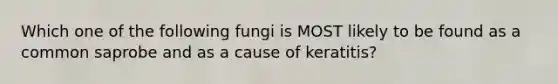 Which one of the following fungi is MOST likely to be found as a common saprobe and as a cause of keratitis?