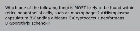 Which one of the following fungi is MOST likely to be found within reticuloendothelial cells, such as macrophages? A)Histoplasma capsulatum B)Candida albicans C)Cryptococcus neoformans D)Sporothrix schenckii