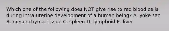 Which one of the following does NOT give rise to red blood cells during intra-uterine development of a human being? A. yoke sac B. mesenchymal tissue C. spleen D. lymphoid E. liver