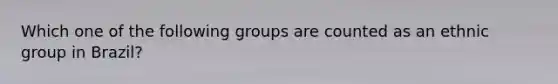 Which one of the following groups are counted as an ethnic group in Brazil?