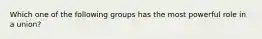 Which one of the following groups has the most powerful role in a union?